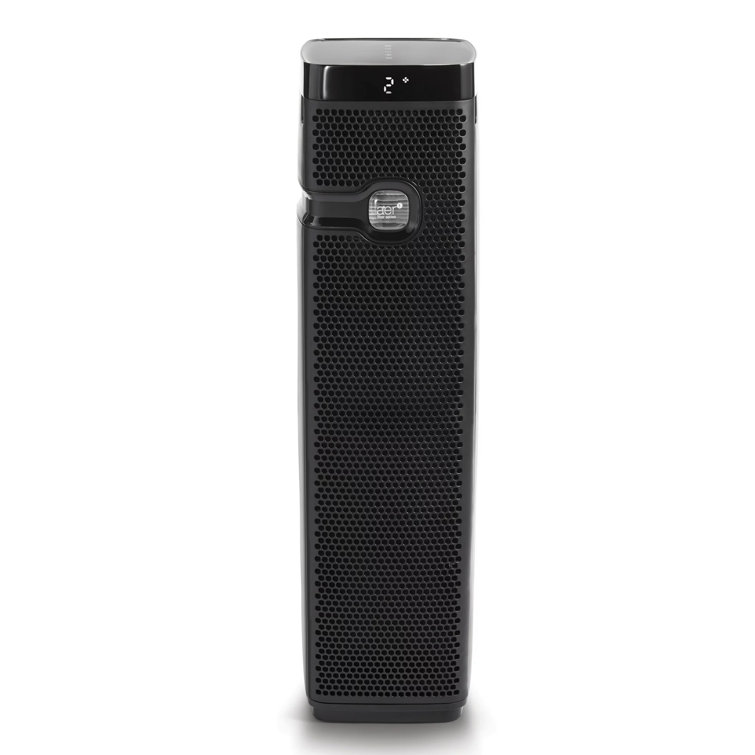 Holmes store hepa filter